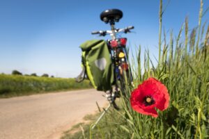 to-go-biking-5178398_1280